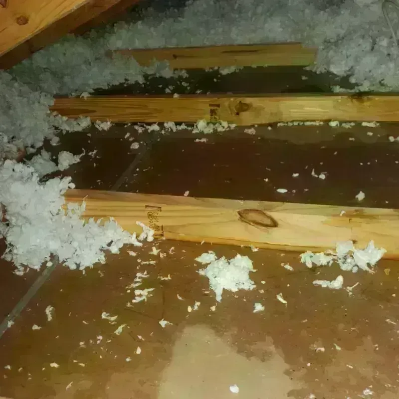 Attic Water Damage in Ceres, CA