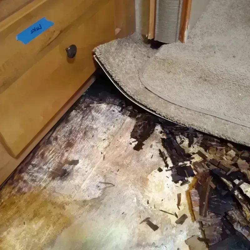 Wood Floor Water Damage in Ceres, CA